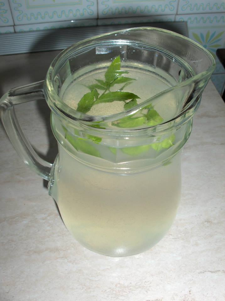 anteprima LIMONATA MOJITO